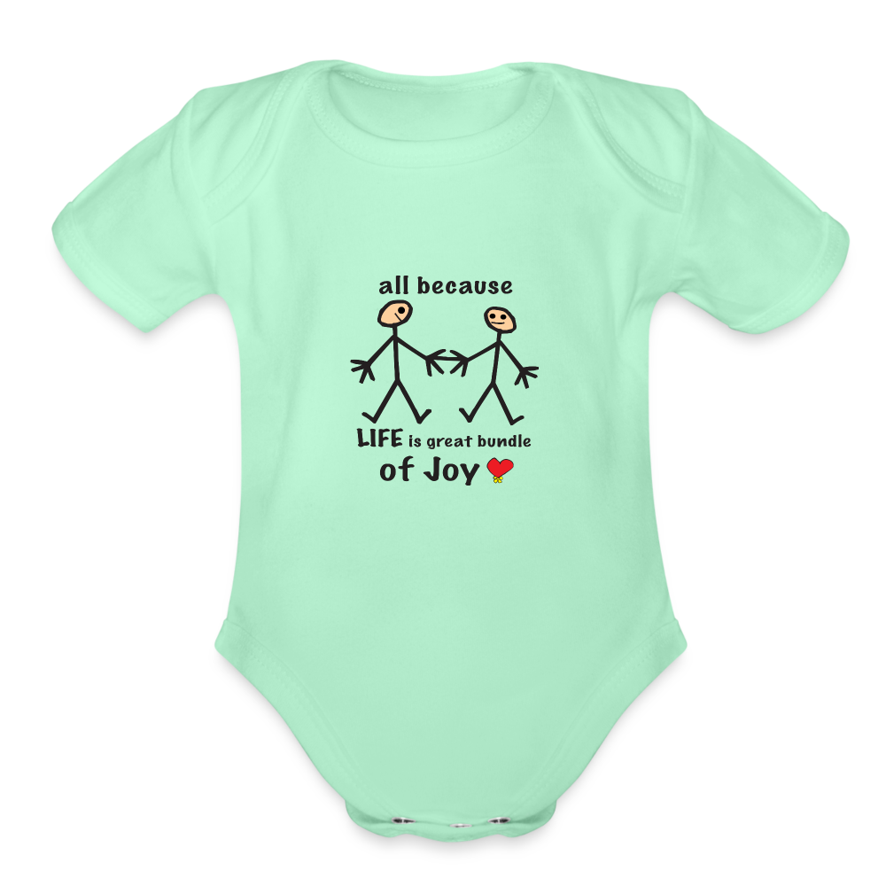 AB Life is a Bundle of Joy in Love Organic Short Sleeve Baby Bodysuit - light mint